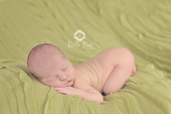 raleigh newborn photographer