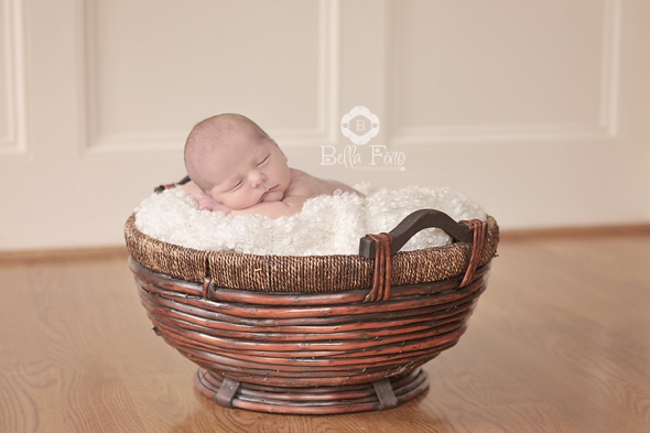 cary newborn photographer