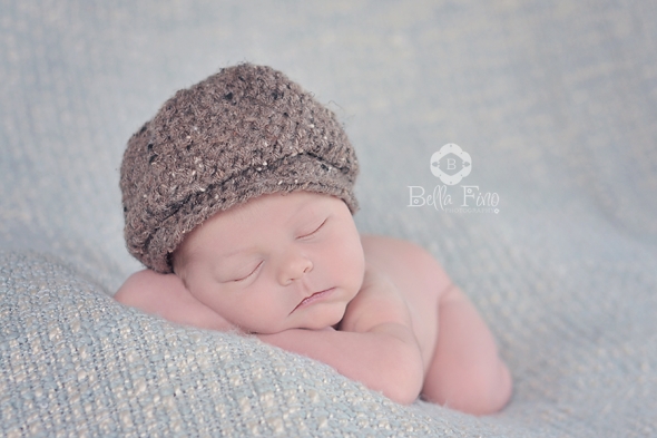 clayton newborn photographer