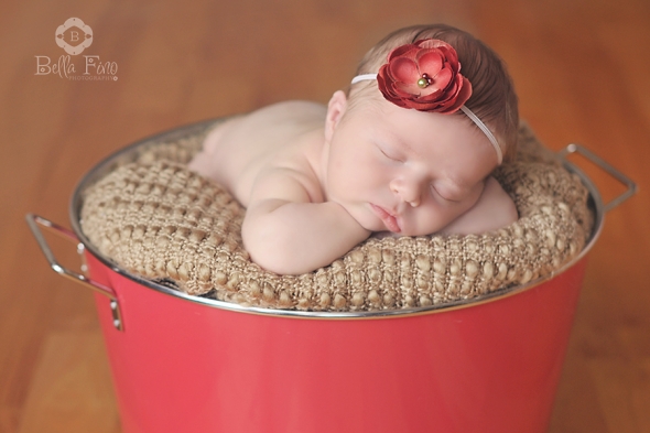 Cary Newborn Photographer