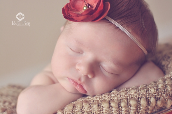 Apex Newborn Photographer