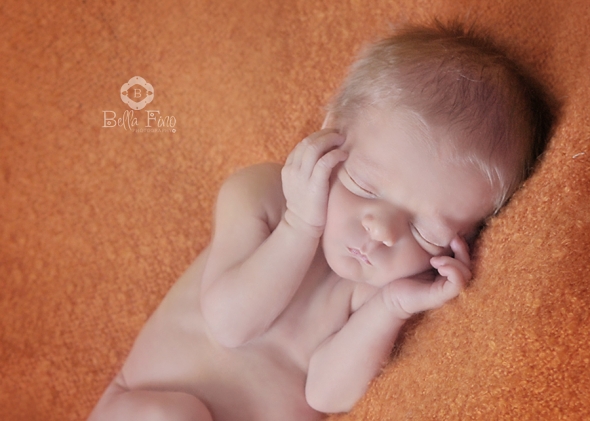 cary newborn photographer