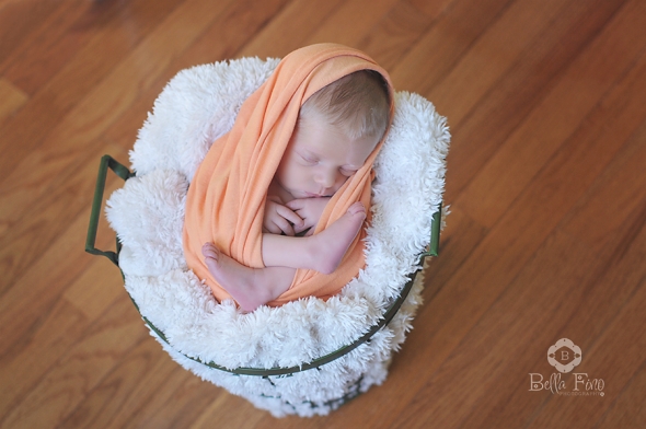 apex newborn photographer