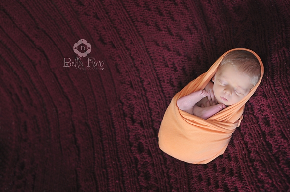 cary newborn photographer