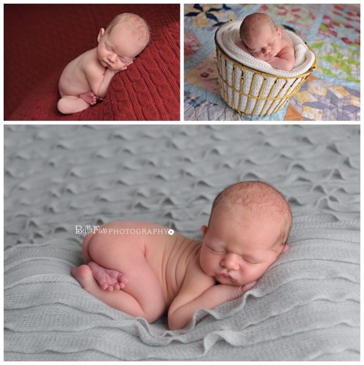 raleigh holly springs newborn infant photographer