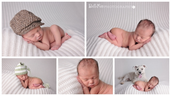 raleigh cary apex holly springs newborn photographer