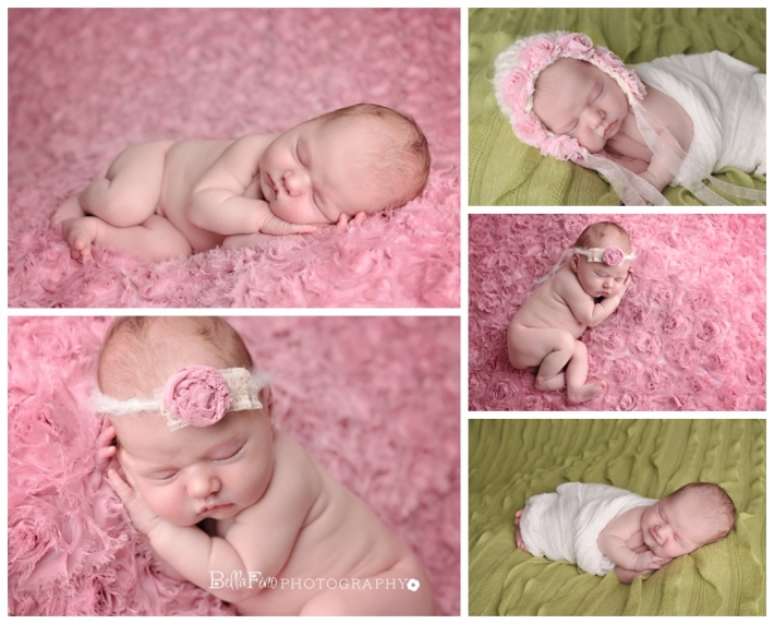 raleigh apex garner newborn photographer